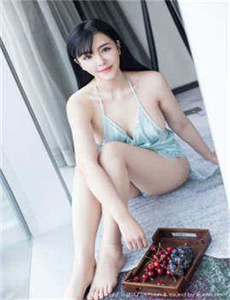 《隆化张婉婉-女销售的成功秘诀2中文版》